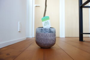 DOMANI（ドマーニ）の鉢のヒビ割れ模様が個性的で面白い。