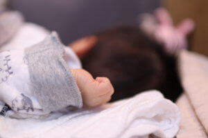 ２０２０年２月、家族が増えました。