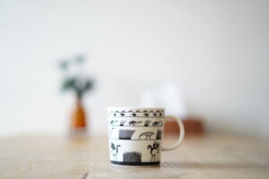 我が家にイッタラのスコープ別注バードマグがやってきました。