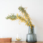 ミモザの日なので、近所のお花屋さんでミモザを買いました。